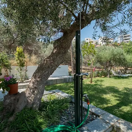 Olive Garden Private Flats Kato Daratso